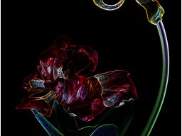 Heike Seyffarth
