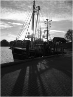 2016 | Gegenlicht